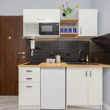 Modern Studio Radomska By Renters *